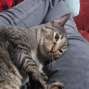 Meet your Posher, Tanjiro